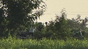 Terms and Conditions: Essential Elements